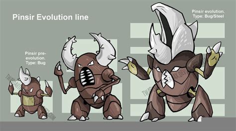 pinsir evolution chart|Pinsir .